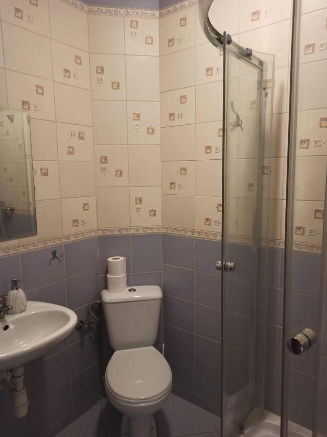 Przylesie Daire Uniejow Dış mekan fotoğraf